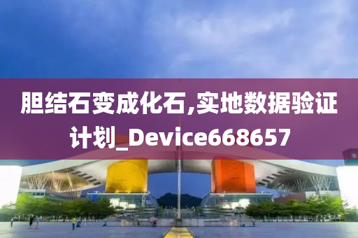 胆结石变成化石,实地数据验证计划_Device668657