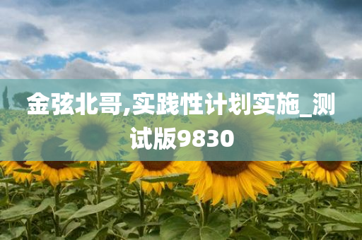 金弦北哥,实践性计划实施_测试版9830