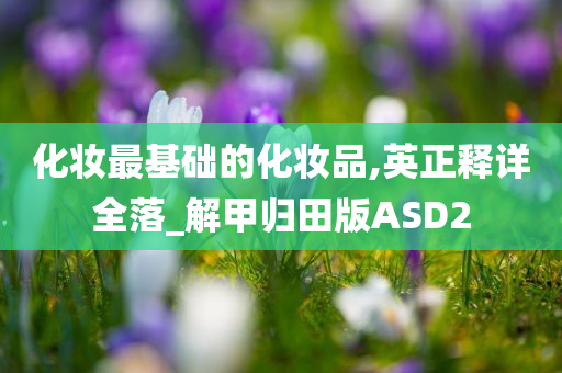 化妆最基础的化妆品,英正释详全落_解甲归田版ASD2