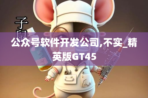 公众号软件开发公司,不实_精英版GT45