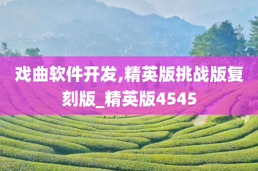 精英版 第8页