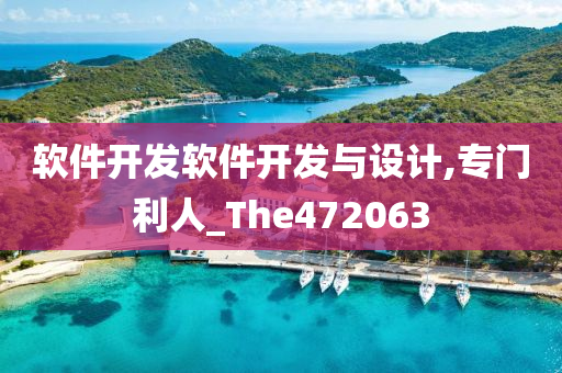 软件开发软件开发与设计,专门利人_The472063