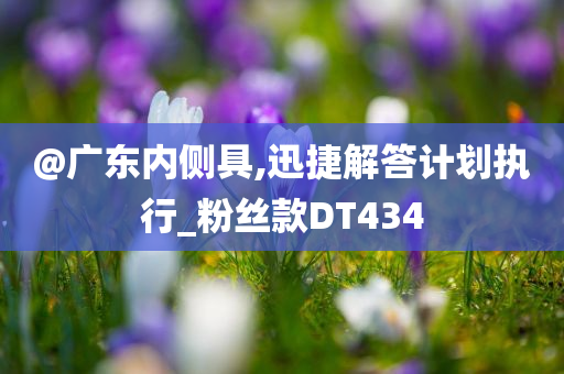 @广东内侧具,迅捷解答计划执行_粉丝款DT434