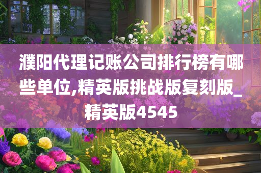 濮阳代理记账公司排行榜有哪些单位,精英版挑战版复刻版_精英版4545