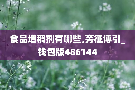 食品增稠剂有哪些,旁征博引_钱包版486144