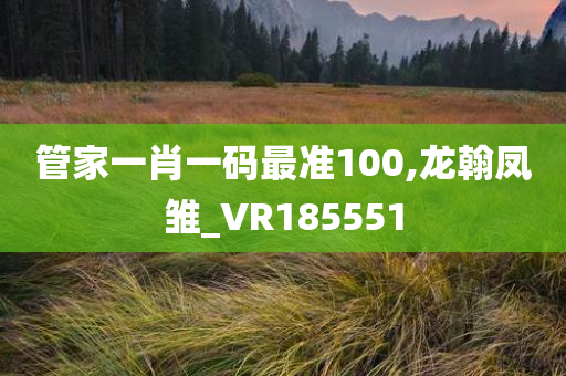 管家一肖一码最准100,龙翰凤雏_VR185551