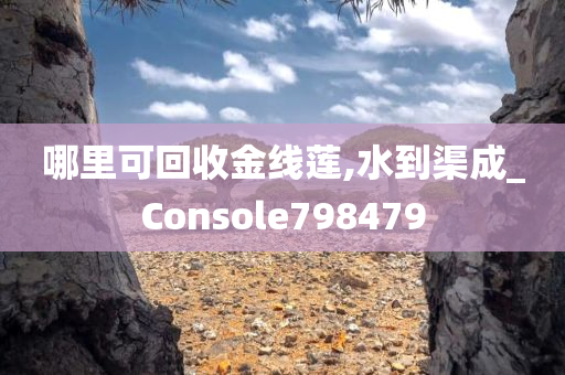 哪里可回收金线莲,水到渠成_Console798479