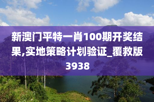 新澳门平特一肖100期开奖结果,实地策略计划验证_覆救版3938