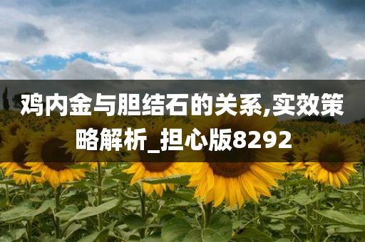 鸡内金与胆结石的关系,实效策略解析_担心版8292