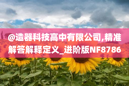 @造器科技高中有限公司,精准解答解释定义_进阶版NF8786