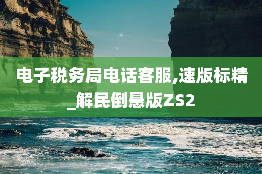 电子税务局电话客服,速版标精_解民倒悬版ZS2