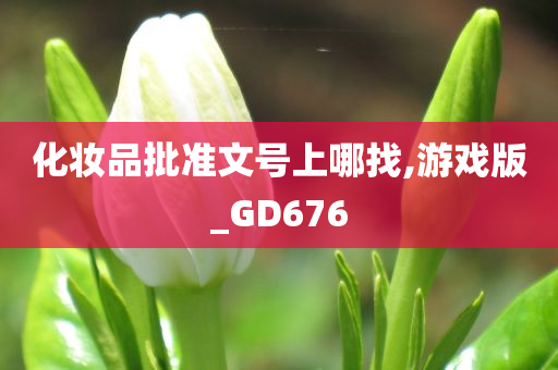 化妆品批准文号上哪找,游戏版_GD676
