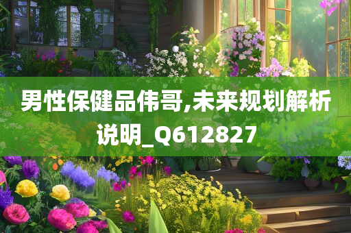 男性保健品伟哥,未来规划解析说明_Q612827