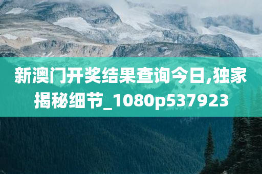新澳门开奖结果查询今日,独家揭秘细节_1080p537923