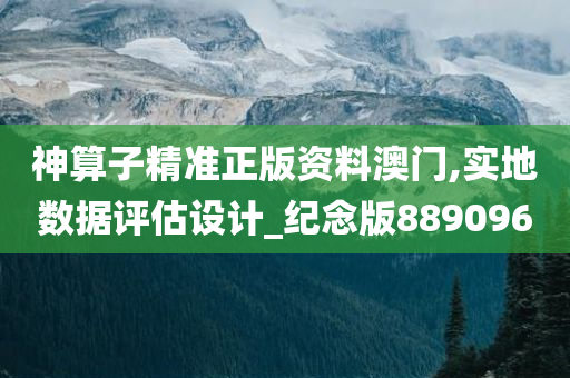 神算子精准正版资料澳门,实地数据评估设计_纪念版889096