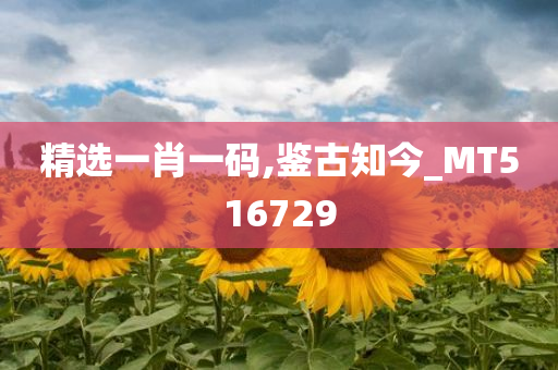 精选一肖一码,鉴古知今_MT516729