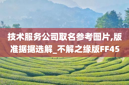 技术服务公司取名参考图片,版准据据选解_不解之缘版FF45