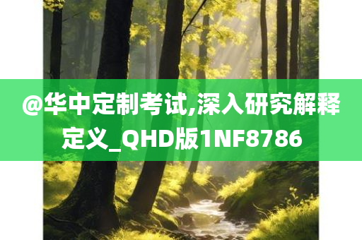 @华中定制考试,深入研究解释定义_QHD版1NF8786