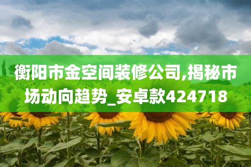 衡阳市金空间装修公司,揭秘市场动向趋势_安卓款424718