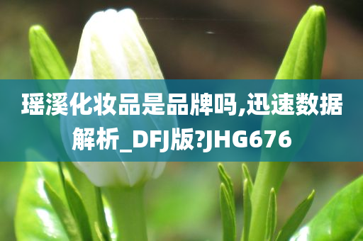 瑶溪化妆品是品牌吗,迅速数据解析_DFJ版?JHG676