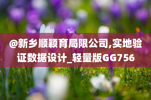 @新乡顺颖育局限公司,实地验证数据设计_轻量版GG756