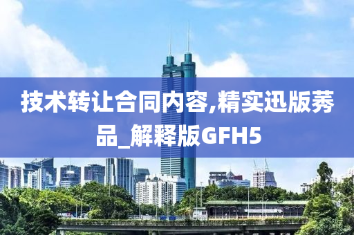 合同条款