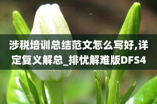涉税培训总结范文怎么写好,详定复义解总_排忧解难版DFS4