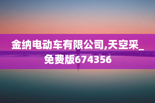 金纳电动车有限公司,天空采_免费版674356