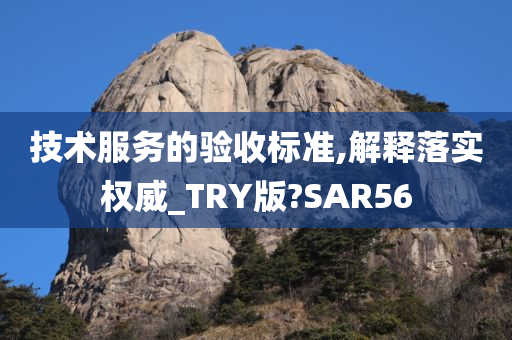 技术服务的验收标准,解释落实权威_TRY版?SAR56