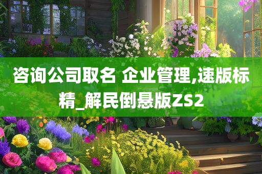 咨询公司取名 企业管理,速版标精_解民倒悬版ZS2