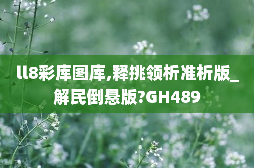 liyalv 第35页