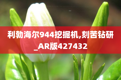 利勃海尔944挖掘机,刻苦钻研_AR版427432