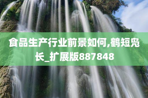 食品生产行业前景如何,鹤短凫长_扩展版887848