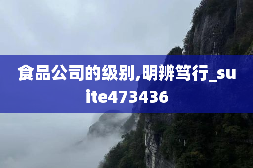 食品公司的级别,明辨笃行_suite473436