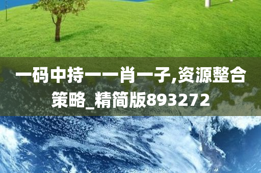 一码中持一一肖一子,资源整合策略_精简版893272