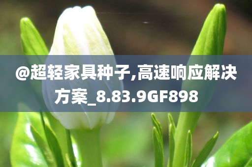 @超轻家具种子,高速响应解决方案_8.83.9GF898