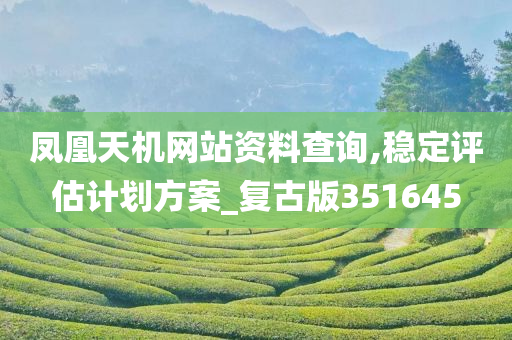 凤凰天机网站资料查询,稳定评估计划方案_复古版351645