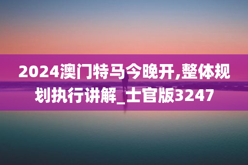 2024澳门特马今晚开,整体规划执行讲解_士官版3247