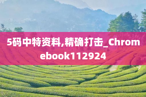 5码中特资料,精确打击_Chromebook112924