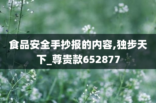 食品安全手抄报的内容,独步天下_尊贵款652877
