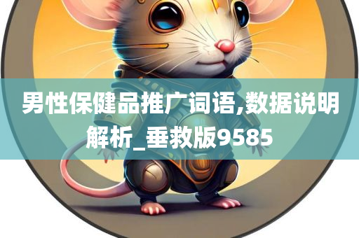 男性保健品推广词语,数据说明解析_垂救版9585