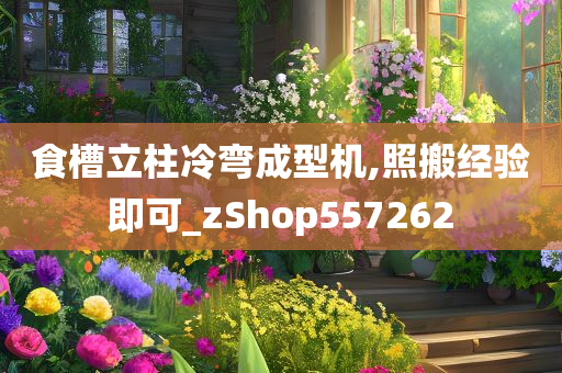 食槽立柱冷弯成型机,照搬经验即可_zShop557262