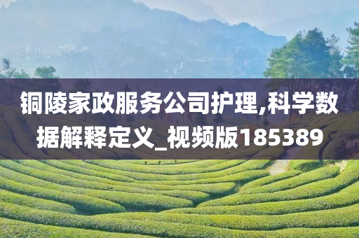 铜陵家政服务公司护理,科学数据解释定义_视频版185389
