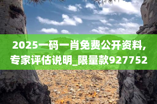 2025一码一肖免费公开资料,专家评估说明_限量款927752