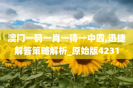 澳门一码一肖一待一中四,迅捷解答策略解析_原始版4231