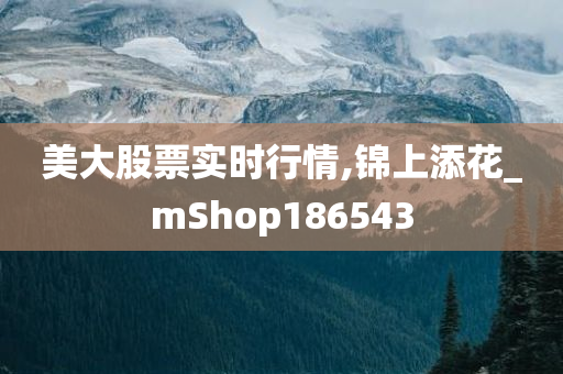 美大股票实时行情,锦上添花_mShop186543