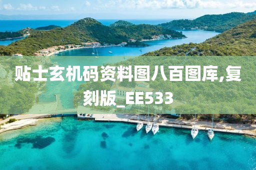 贴士玄机码资料图八百图库,复刻版_EE533