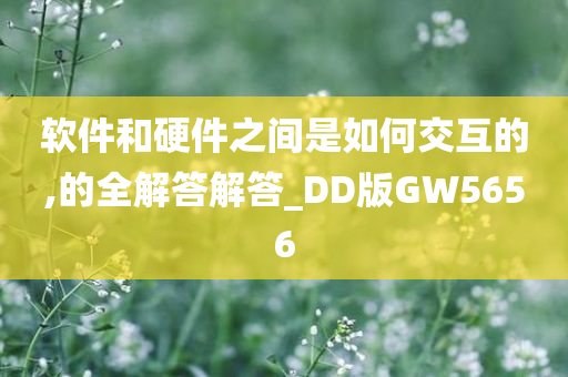 软件和硬件之间是如何交互的,的全解答解答_DD版GW5656今晚必出三肖2025_2025新澳门精准免费提供·精确判断