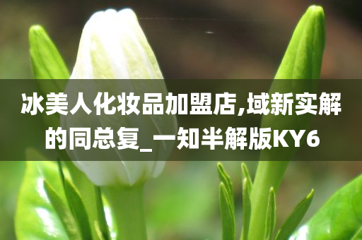 冰美人