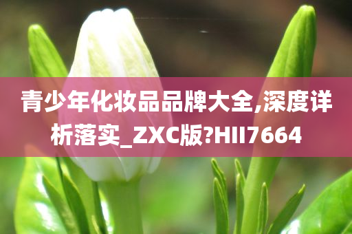 青少年化妆品